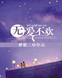 无爱不欢全本小说